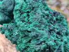 Natural Silky Malachite Specimens x 2 From Kasompe, Congo - Toprock Gemstones and Minerals 
