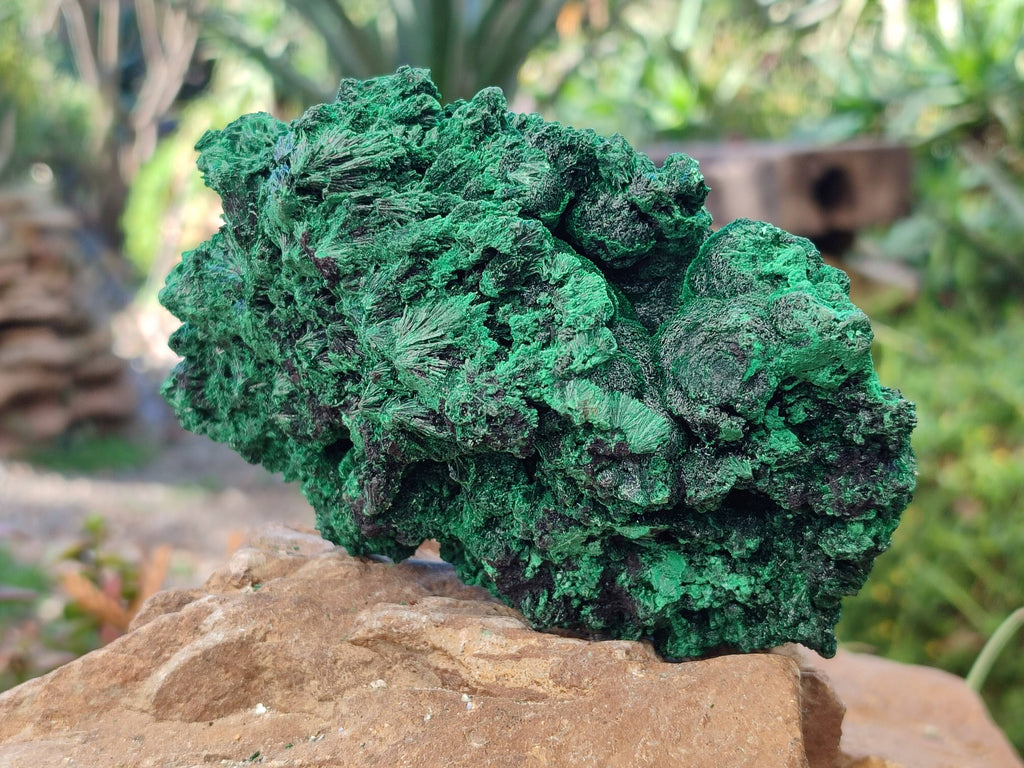 Natural Silky Malachite Specimens x 2 From Kasompe, Congo - Toprock Gemstones and Minerals 