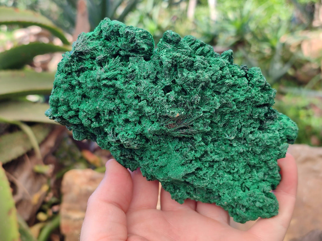 Natural Silky Malachite Specimens x 2 From Kasompe, Congo - Toprock Gemstones and Minerals 