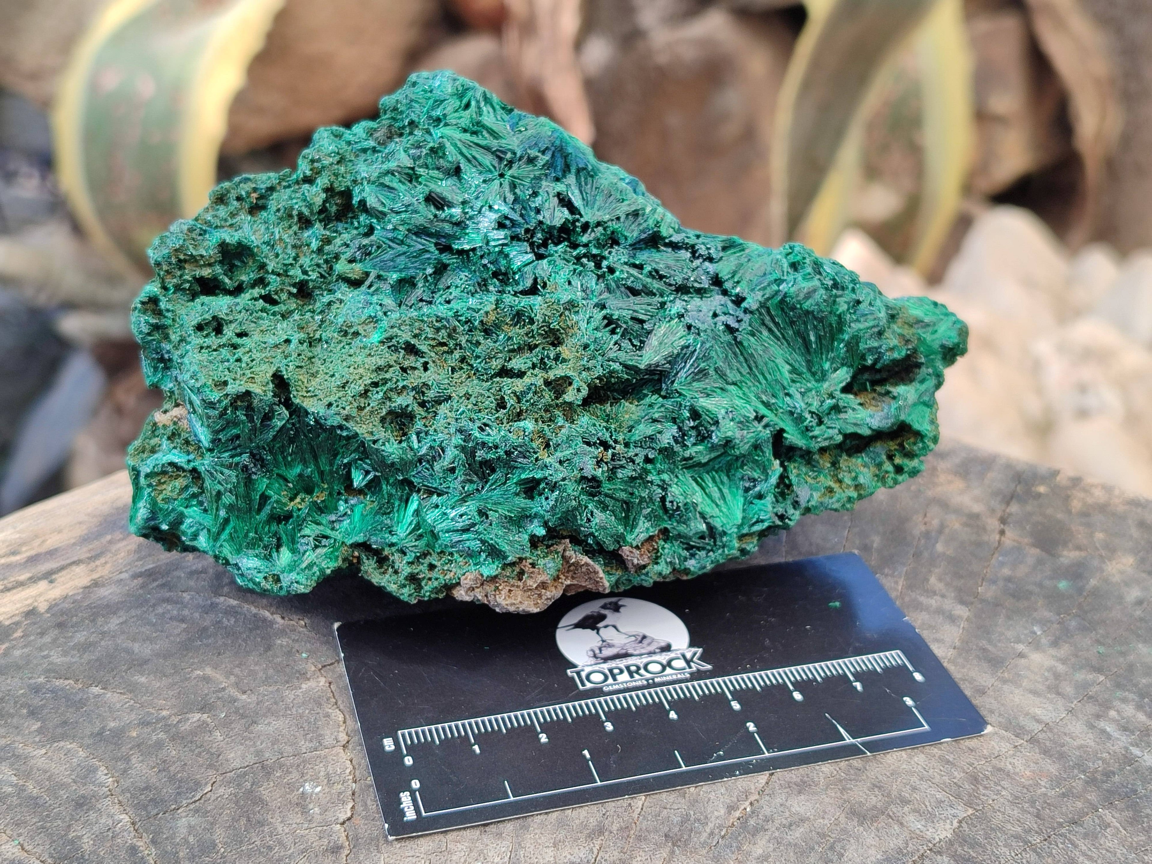 Natural Silky Malachite Specimens x 2 From Kasompe, Congo - Toprock Gemstones and Minerals 