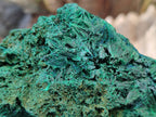 Natural Silky Malachite Specimens x 2 From Kasompe, Congo - Toprock Gemstones and Minerals 
