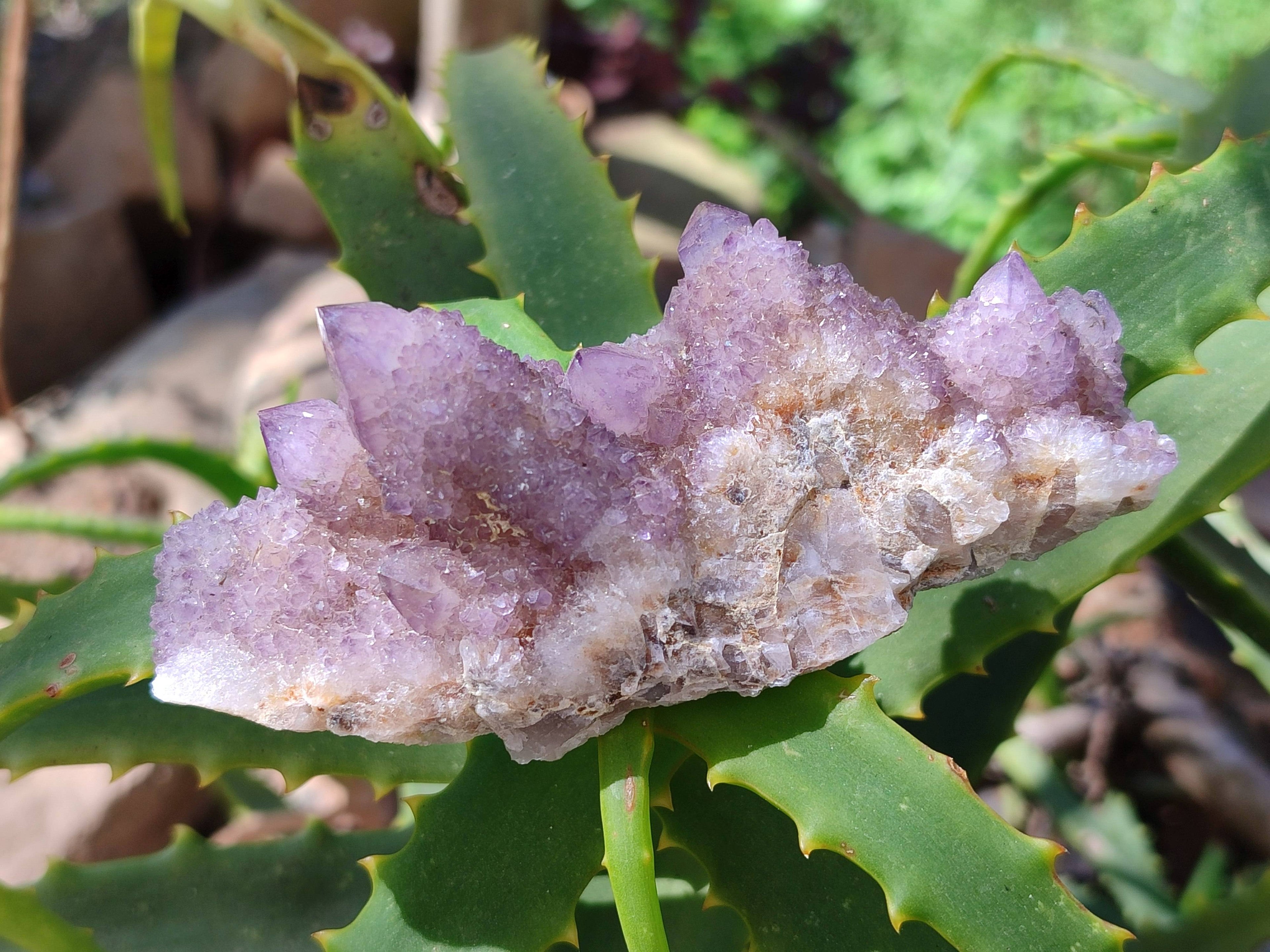 Natural Amethyst Spirit Quartz Clusters x 12 From South Africa - Toprock Gemstones and Minerals 