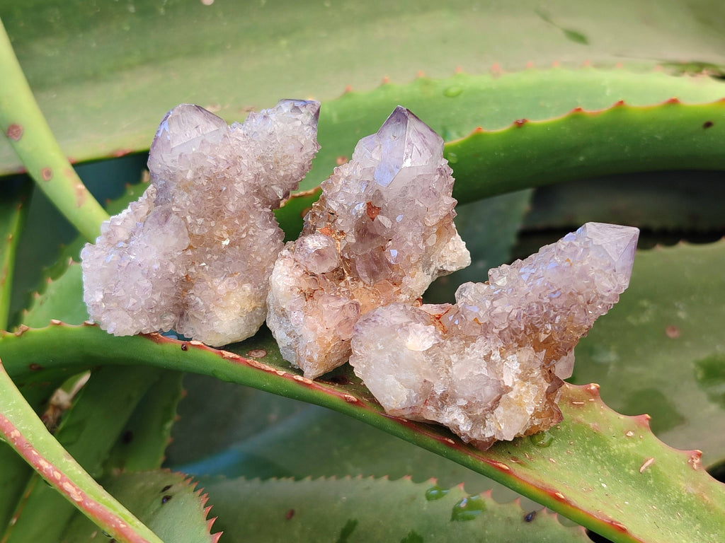 Natural Amethyst Spirit Quartz Clusters x 12 From South Africa - Toprock Gemstones and Minerals 