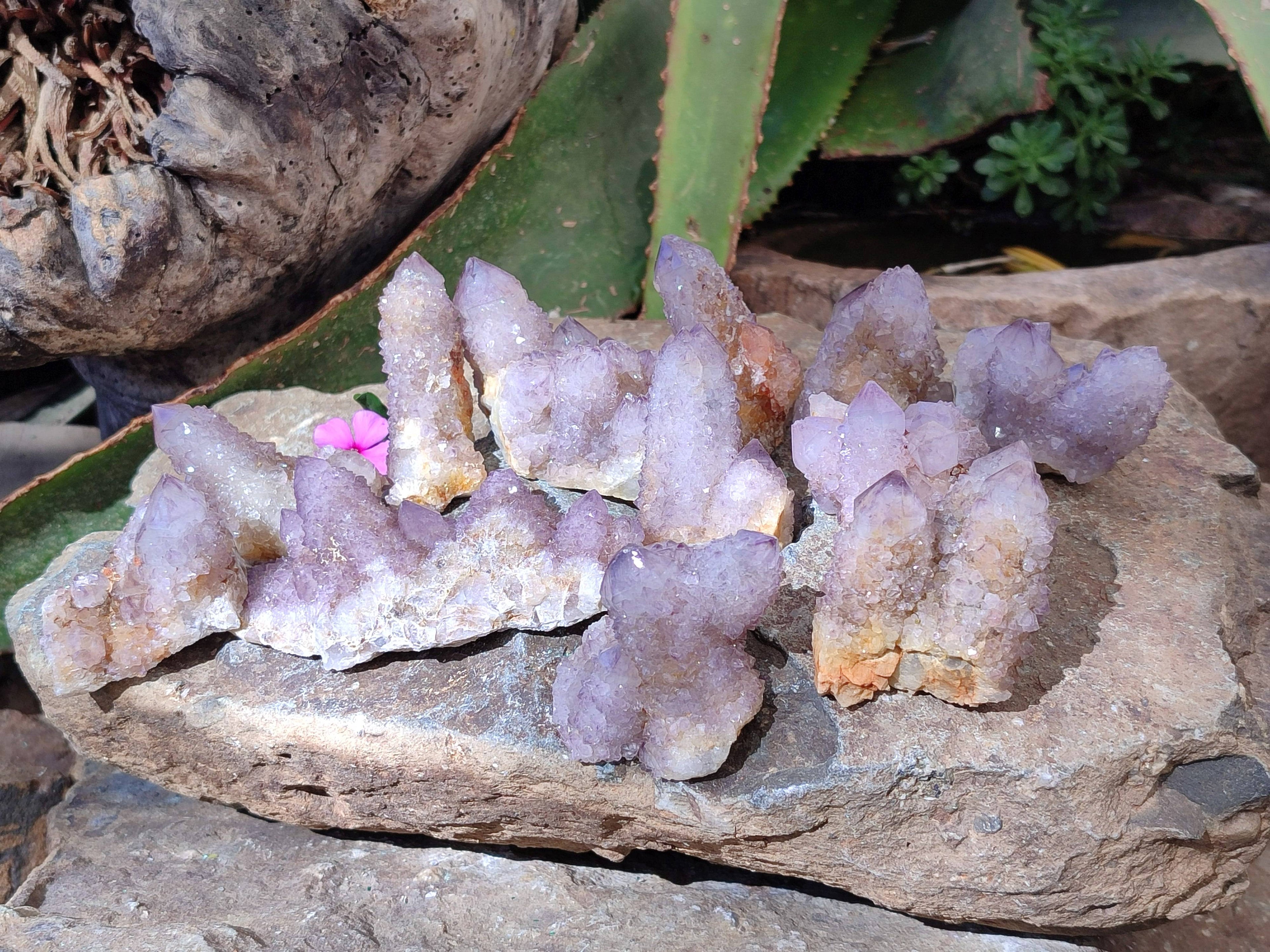 Natural Amethyst Spirit Quartz Clusters x 12 From South Africa - Toprock Gemstones and Minerals 