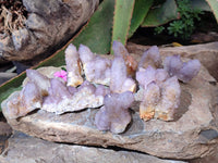 Natural Amethyst Spirit Quartz Clusters x 12 From South Africa