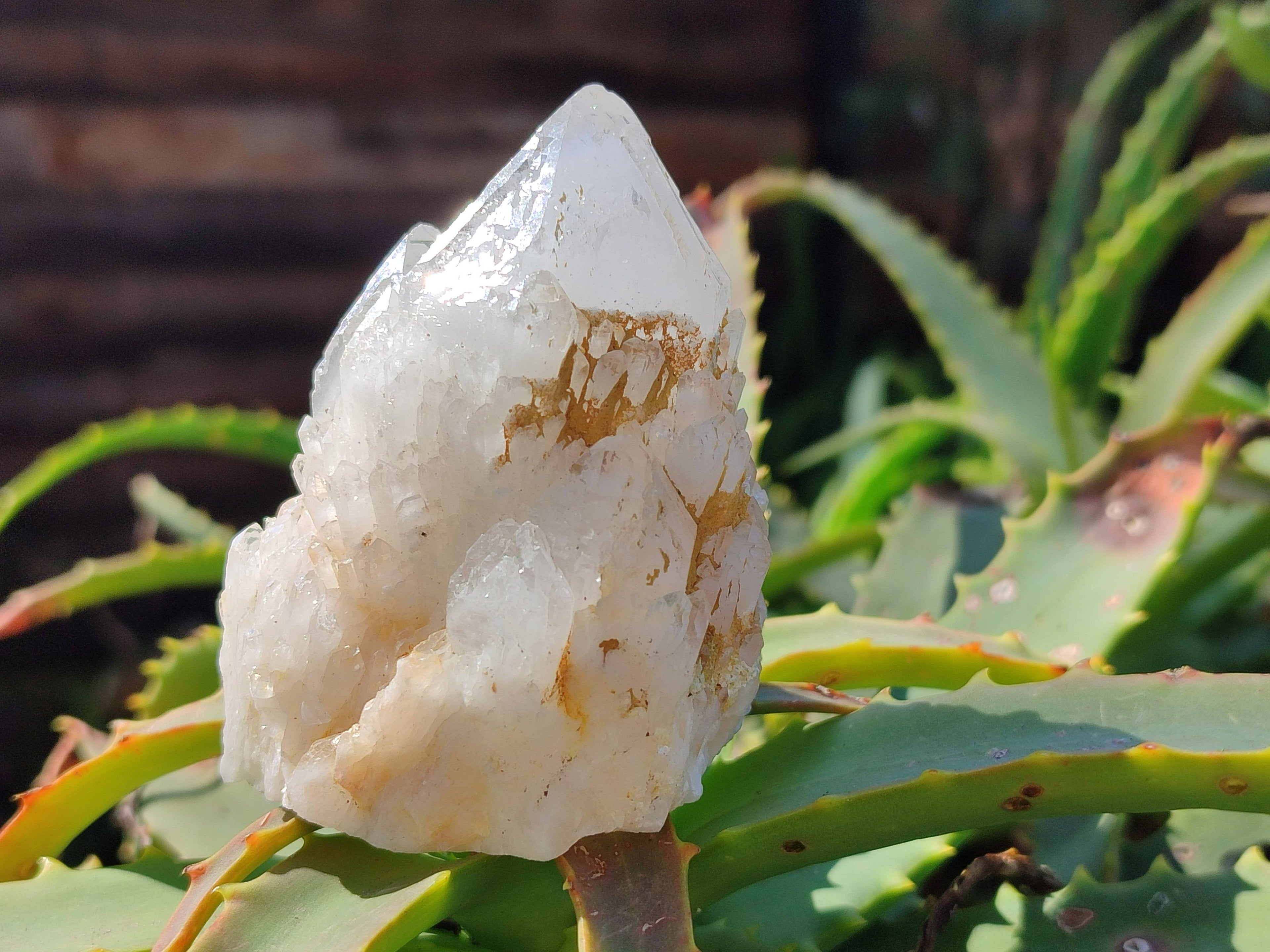 Natural Candle Quartz Clusters x 7 From Madagascar - Toprock Gemstones and Minerals 