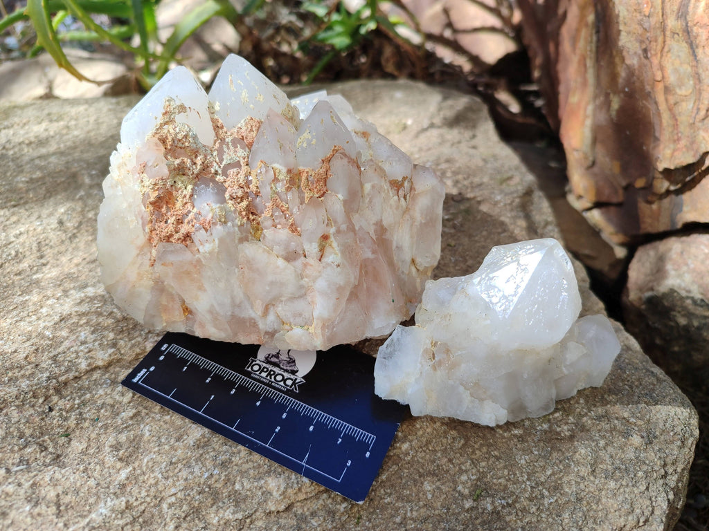Natural Candle Quartz Clusters x 7 From Madagascar - Toprock Gemstones and Minerals 
