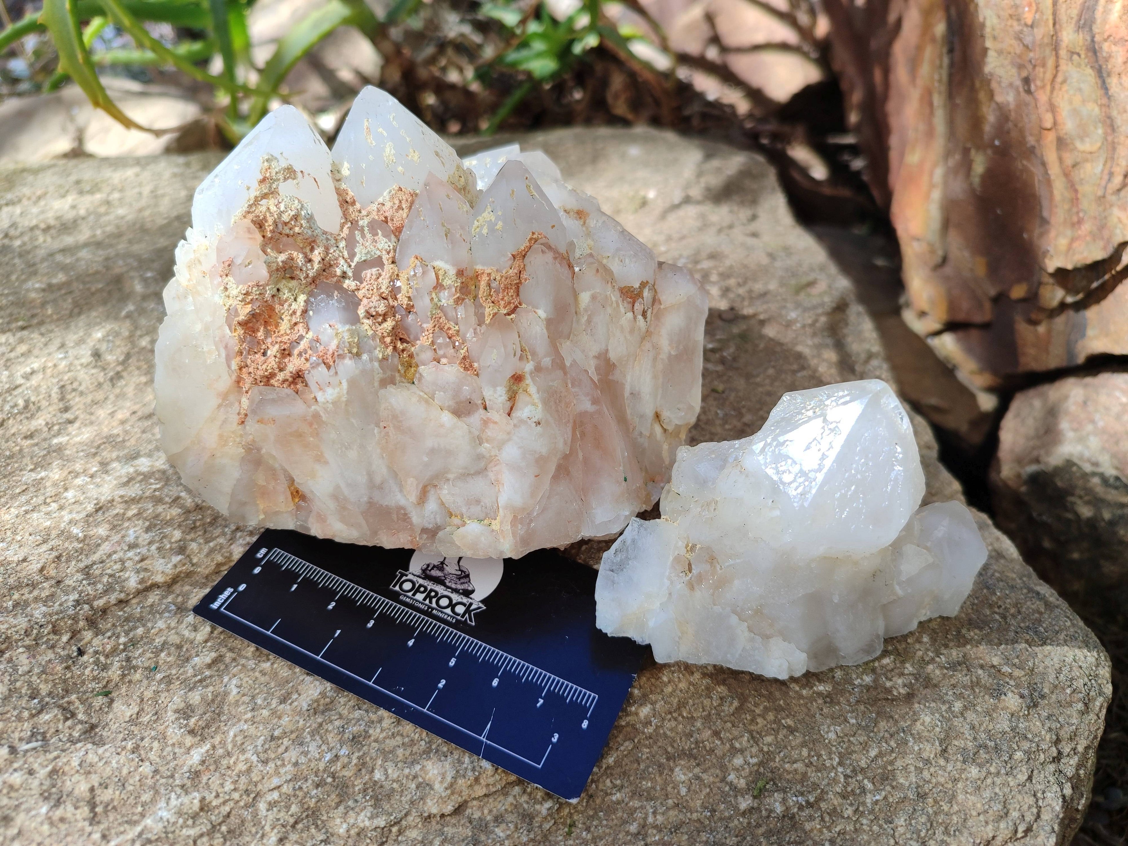 Natural Candle Quartz Clusters x 7 From Madagascar - Toprock Gemstones and Minerals 