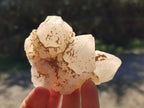 Natural Candle Quartz Clusters x 7 From Madagascar - Toprock Gemstones and Minerals 