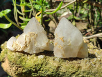 Natural Candle Quartz Clusters x 7 From Madagascar