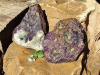 Natural Metallic Purpurite Cobbed Specimens x 2 From Erongo, Namibia