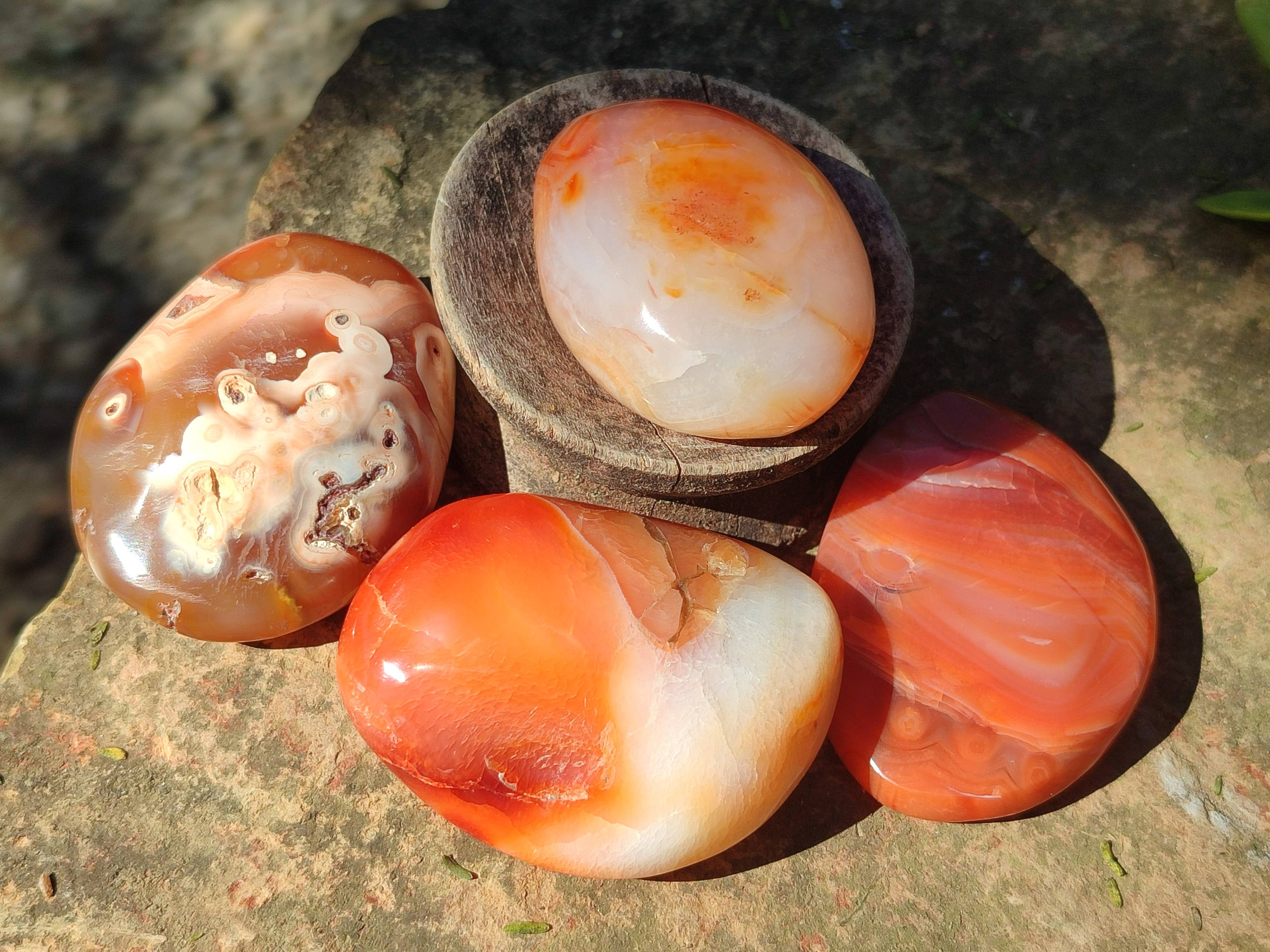 Polished Carnelian Agate Palm Stones x 12 From Madagascar - Toprock Gemstones and Minerals 