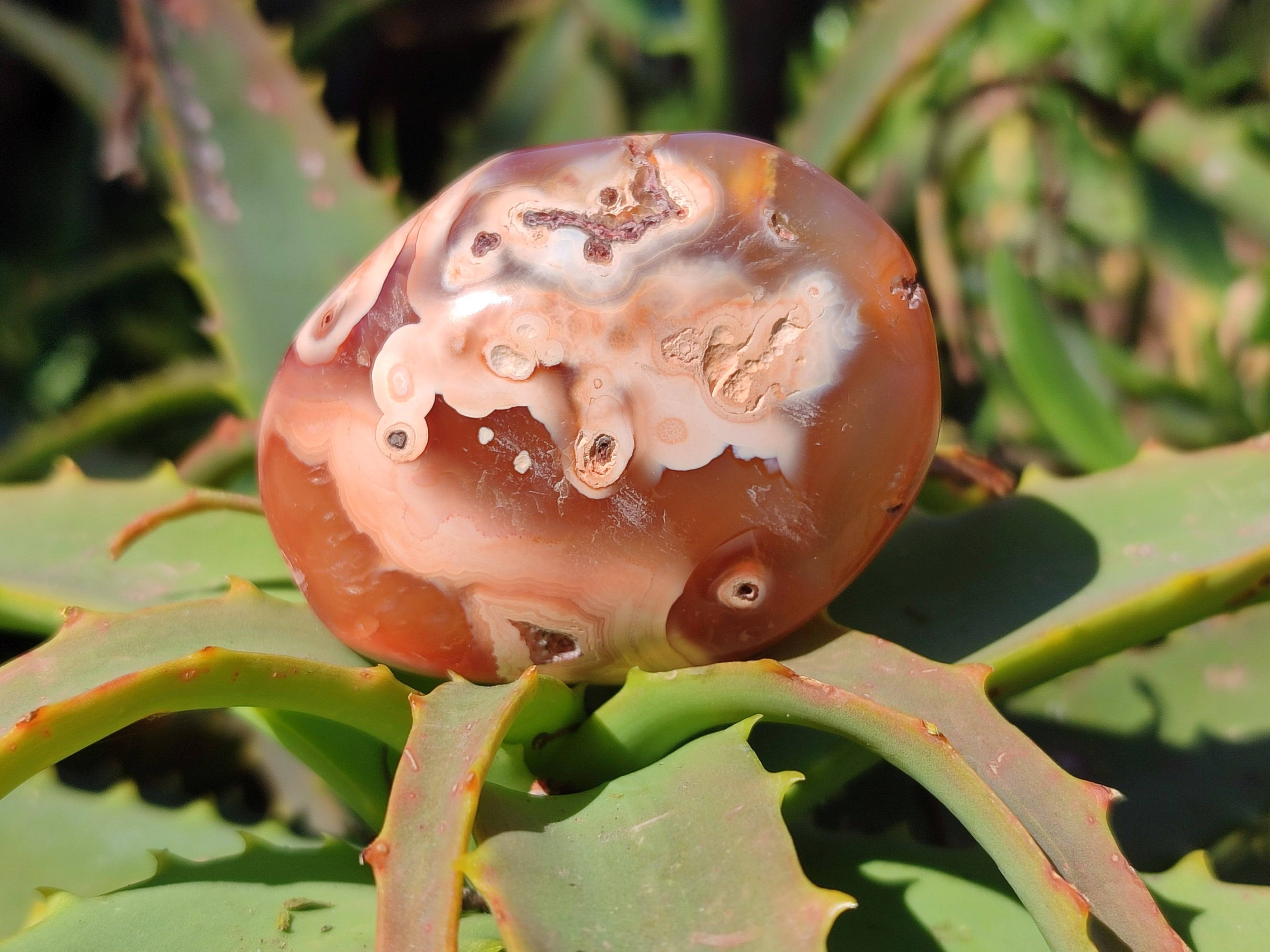 Polished Carnelian Agate Palm Stones x 12 From Madagascar - Toprock Gemstones and Minerals 