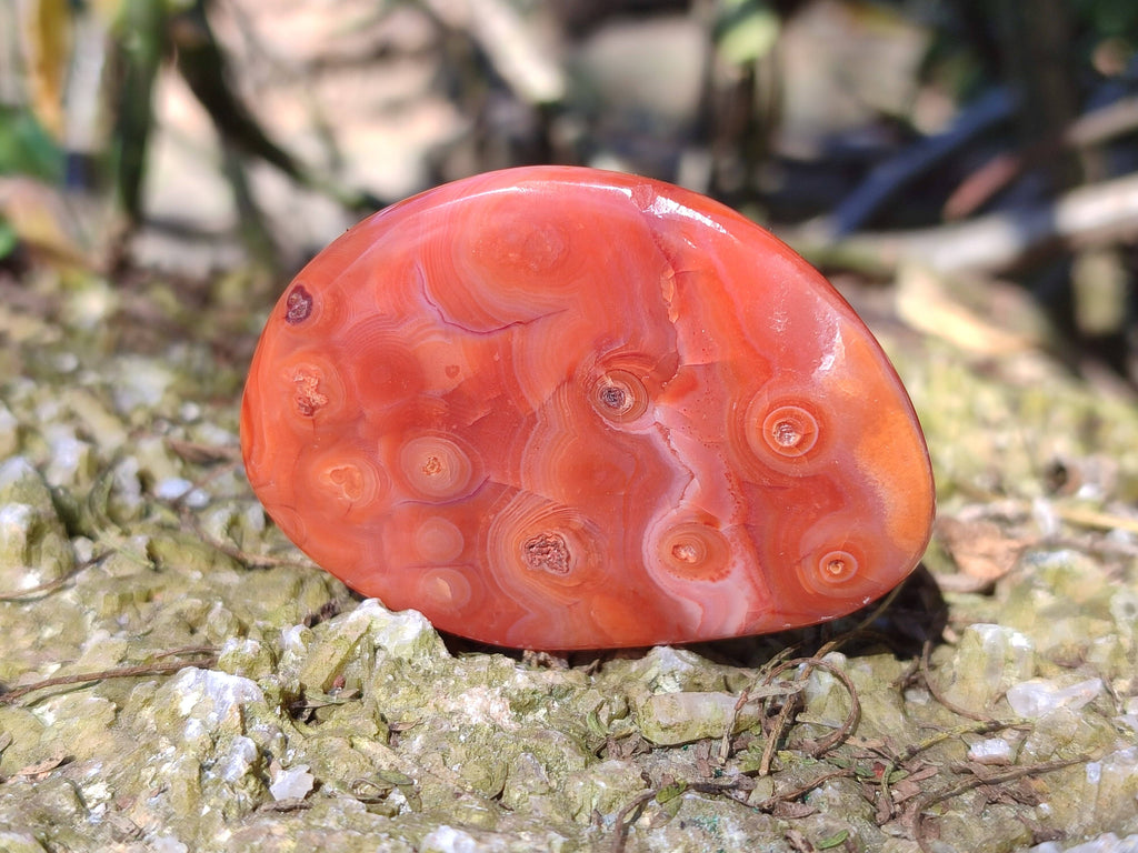 Polished Carnelian Agate Palm Stones x 12 From Madagascar - Toprock Gemstones and Minerals 