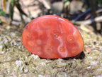 Polished Carnelian Agate Palm Stones x 12 From Madagascar - Toprock Gemstones and Minerals 