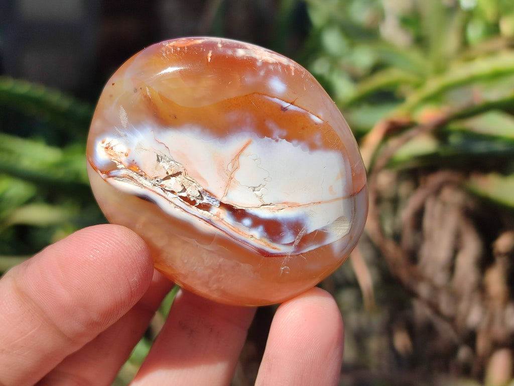 Polished Carnelian Agate Palm Stones x 12 From Madagascar - Toprock Gemstones and Minerals 