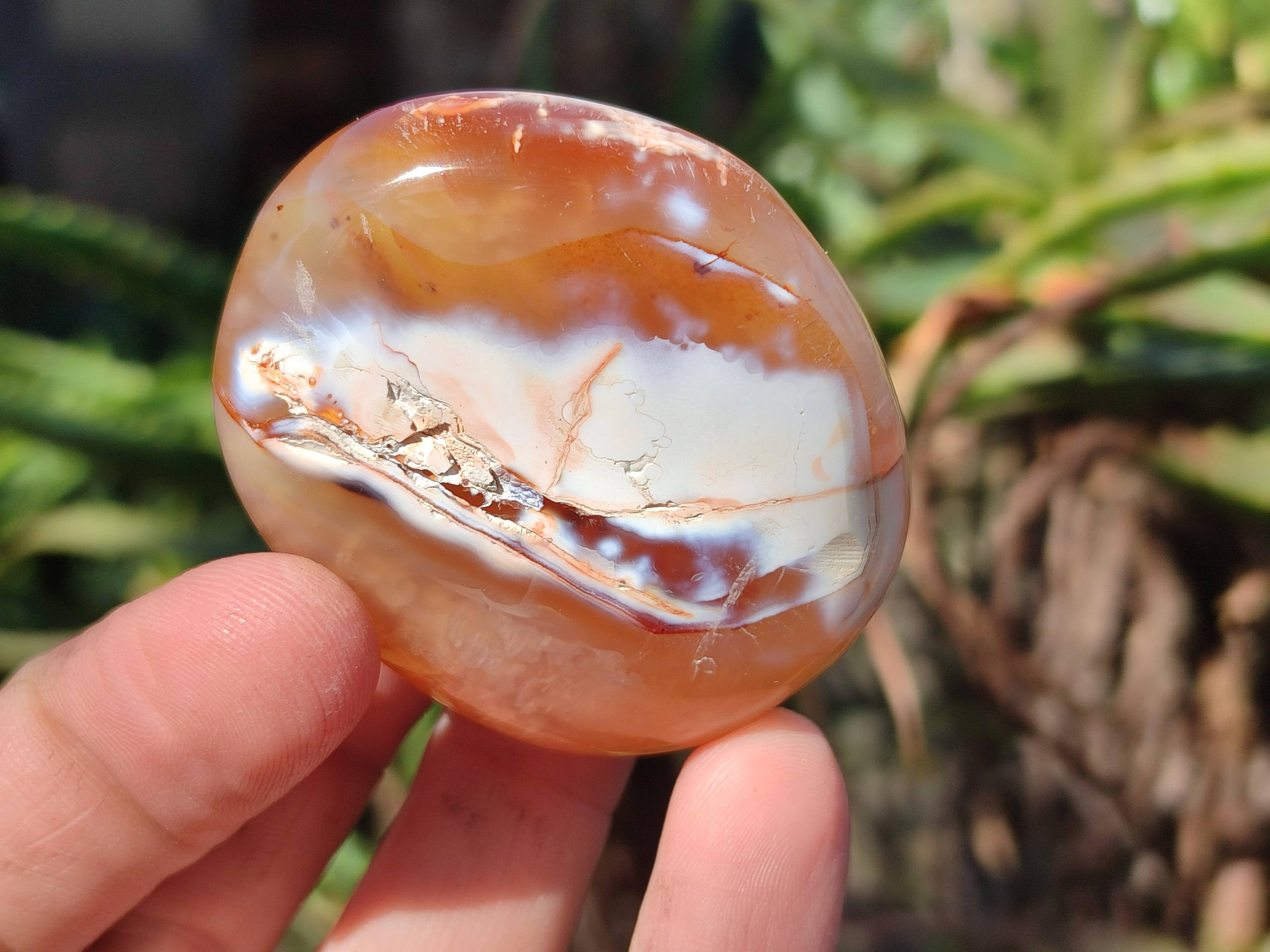 Polished Carnelian Agate Palm Stones x 12 From Madagascar - Toprock Gemstones and Minerals 