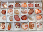 Polished Carnelian Agate Palm Stones x 12 From Madagascar - Toprock Gemstones and Minerals 