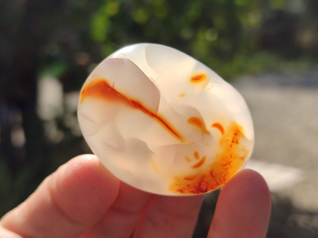 Polished Carnelian Agate Palm Stones x 12 From Madagascar - Toprock Gemstones and Minerals 