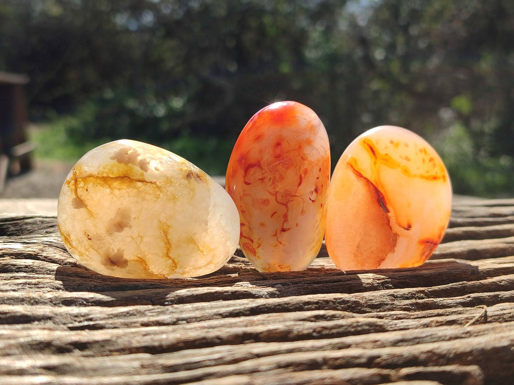 Polished Carnelian Agate Palm Stones x 12 From Madagascar - Toprock Gemstones and Minerals 