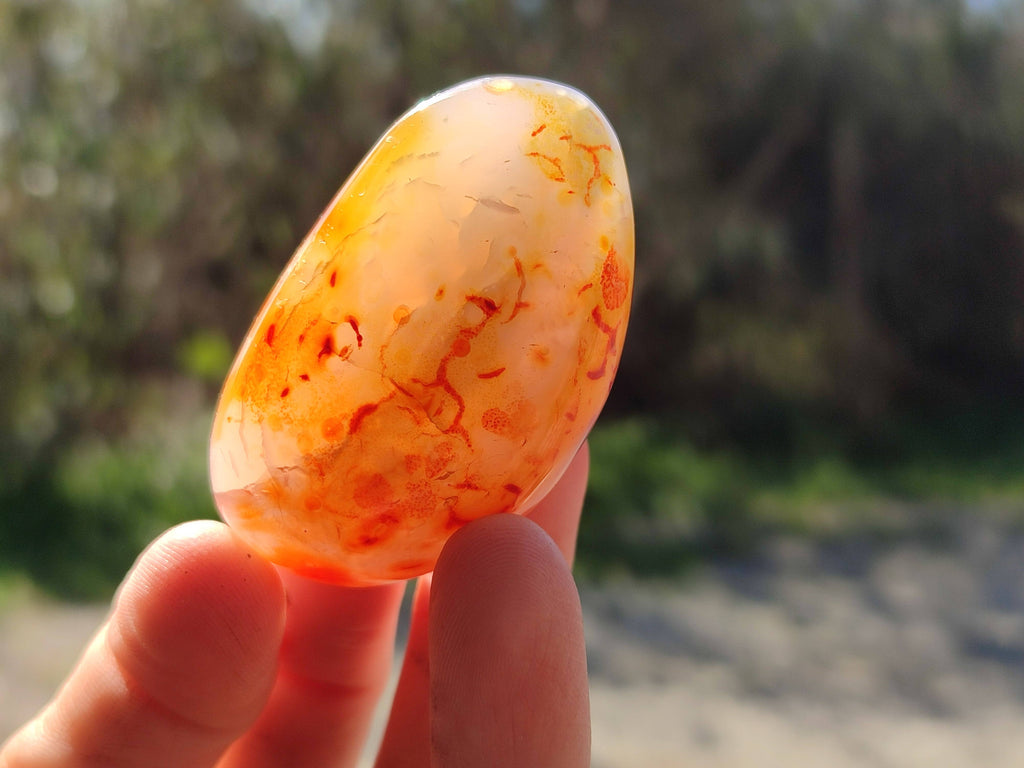 Polished Carnelian Agate Palm Stones x 12 From Madagascar - Toprock Gemstones and Minerals 