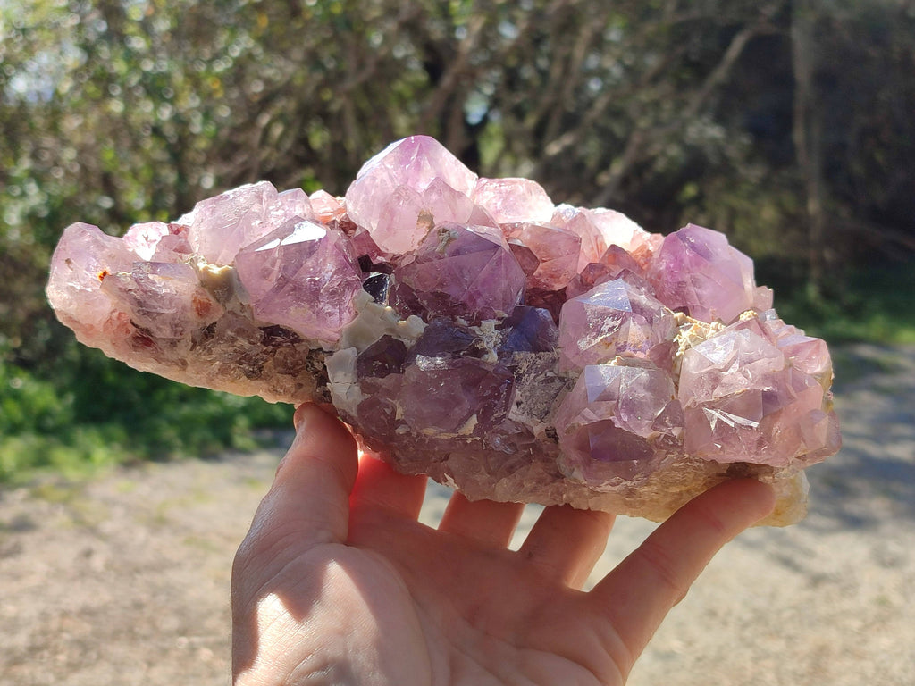 Natural Amethyst Spirit Quartz Cluster x 1 From South Africa - Toprock Gemstones and Minerals 