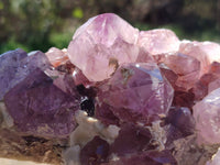 Natural Amethyst Spirit Quartz Cluster x 1 From South Africa