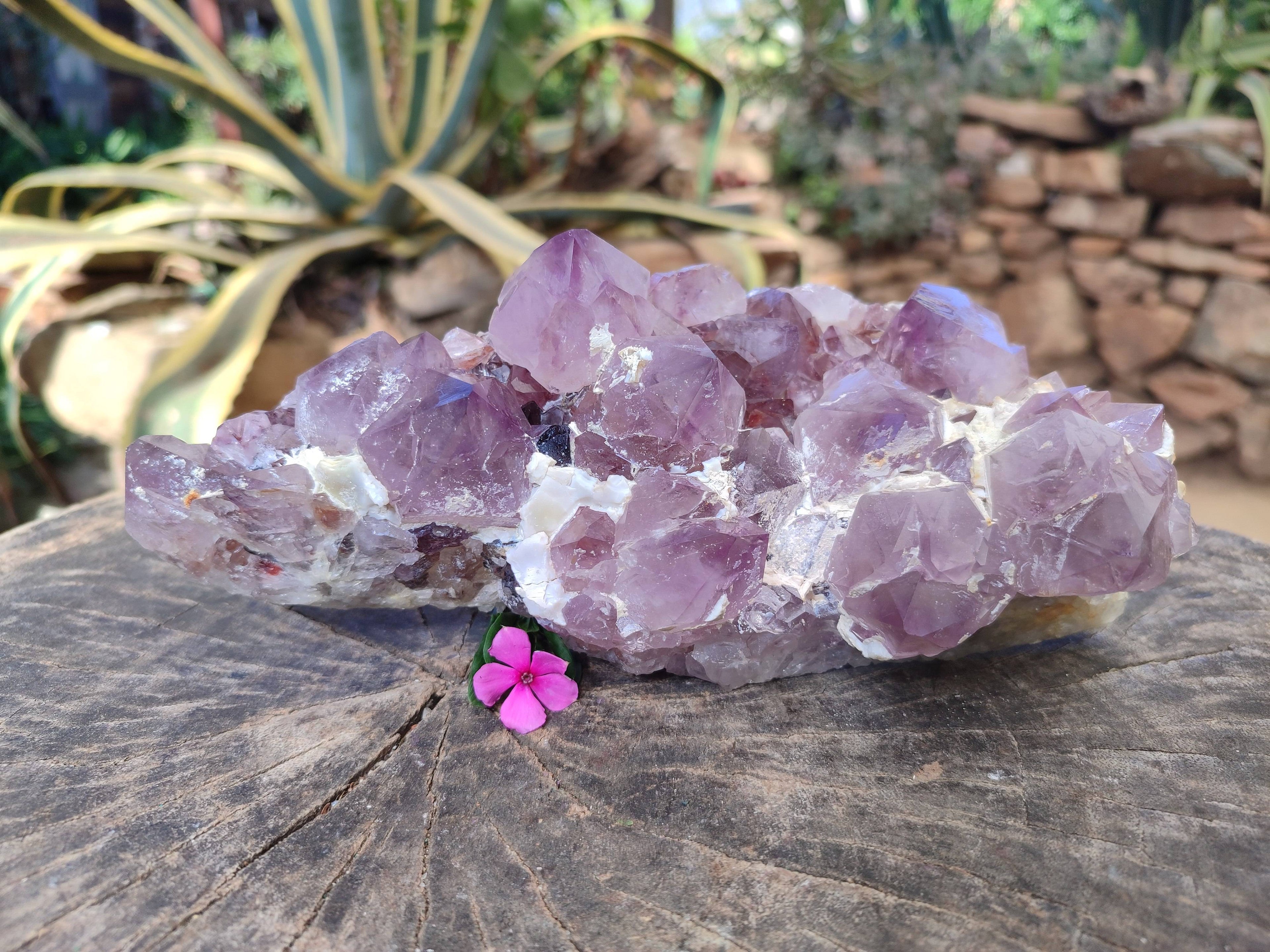 Natural Amethyst Spirit Quartz Cluster x 1 From South Africa - Toprock Gemstones and Minerals 