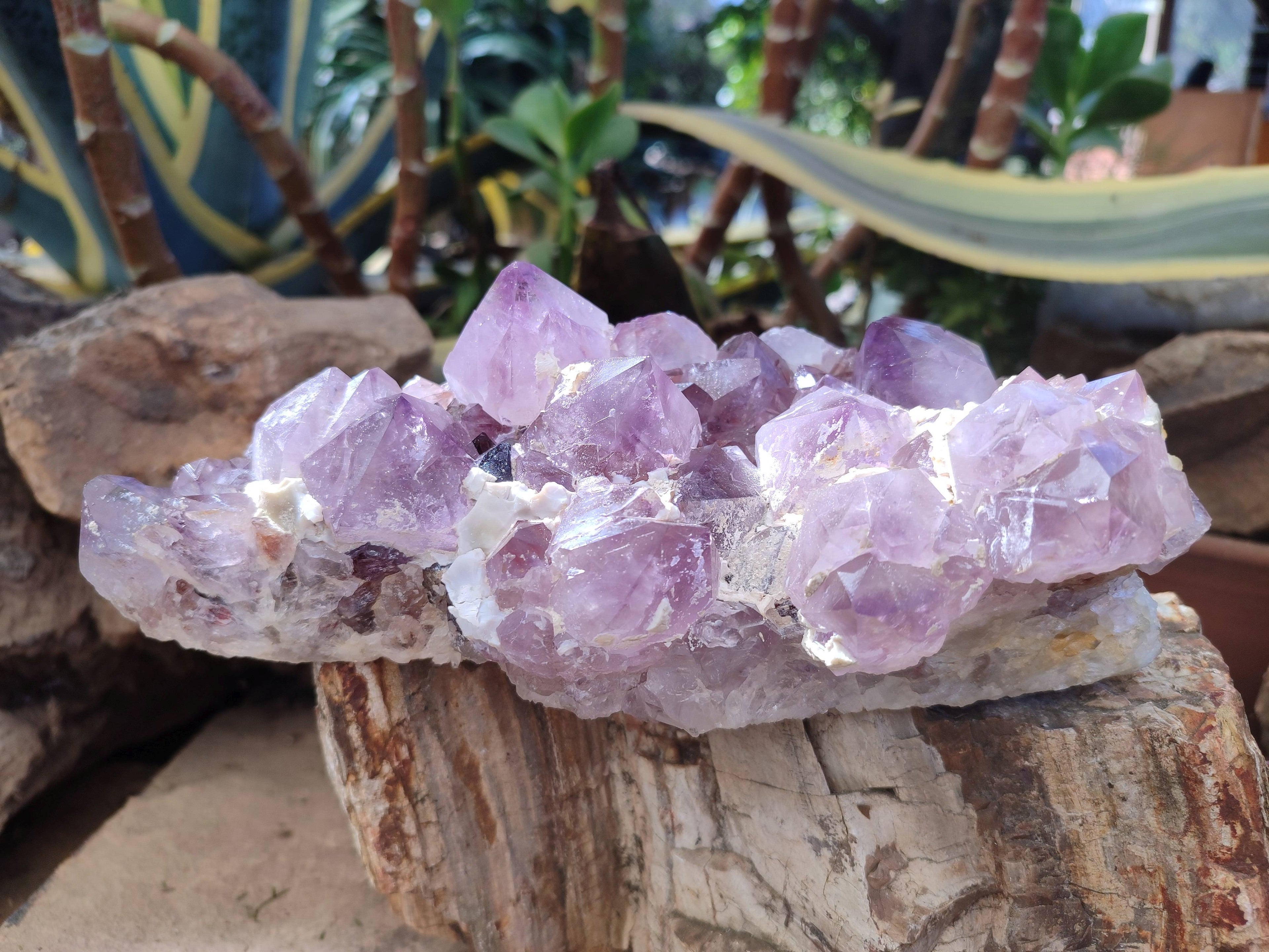 Natural Amethyst Spirit Quartz Cluster x 1 From South Africa - Toprock Gemstones and Minerals 