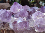 Natural Amethyst Spirit Quartz Cluster x 1 From South Africa - Toprock Gemstones and Minerals 