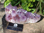 Natural Amethyst Spirit Quartz Cluster x 1 From South Africa - Toprock Gemstones and Minerals 