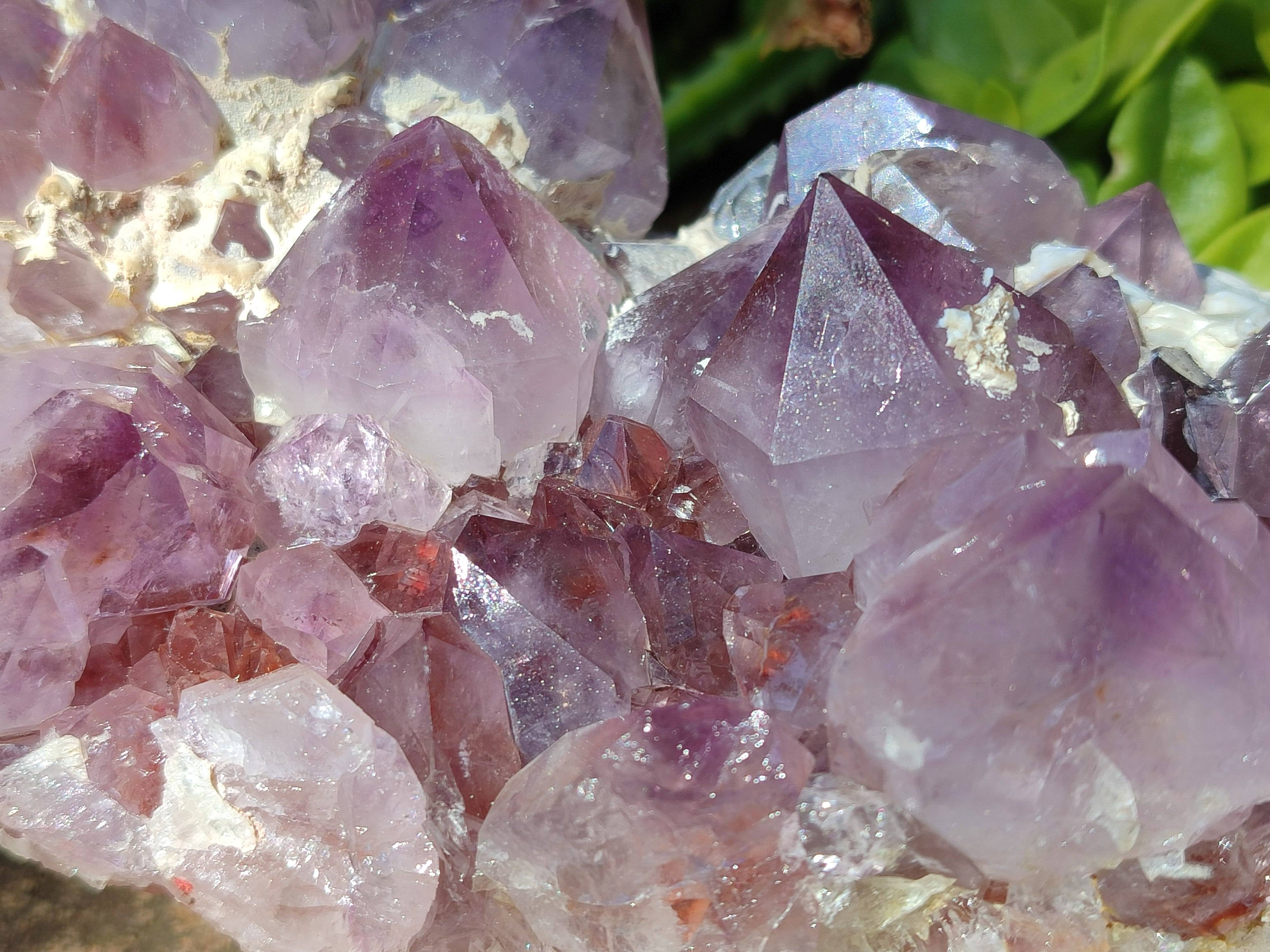 Natural Amethyst Spirit Quartz Cluster x 1 From South Africa - Toprock Gemstones and Minerals 