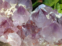 Natural Amethyst Spirit Quartz Cluster x 1 From South Africa
