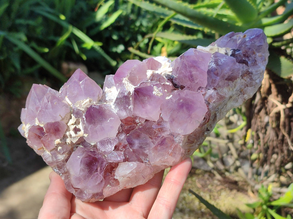 Natural Amethyst Spirit Quartz Cluster x 1 From South Africa - Toprock Gemstones and Minerals 