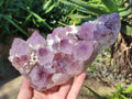 Natural Amethyst Spirit Quartz Cluster x 1 From South Africa - Toprock Gemstones and Minerals 