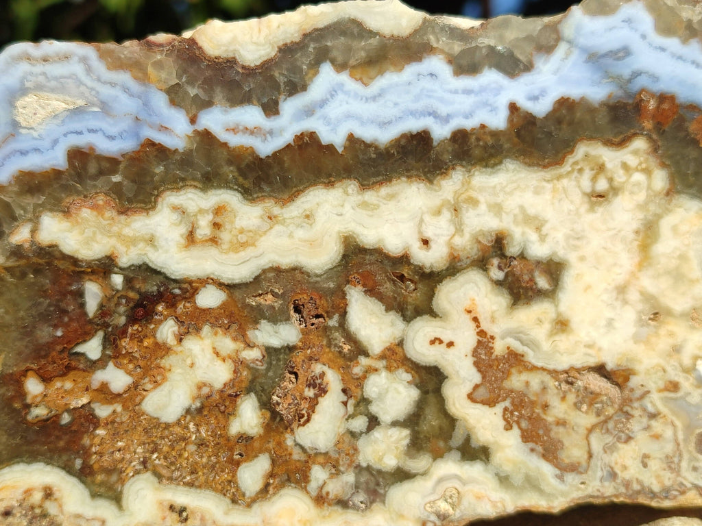 Polished On One Side 'Crazy' Blue Lace Agate x 2 From Namibia - Toprock Gemstones and Minerals 