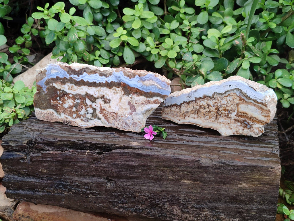 Polished On One Side 'Crazy' Blue Lace Agate x 2 From Namibia - Toprock Gemstones and Minerals 