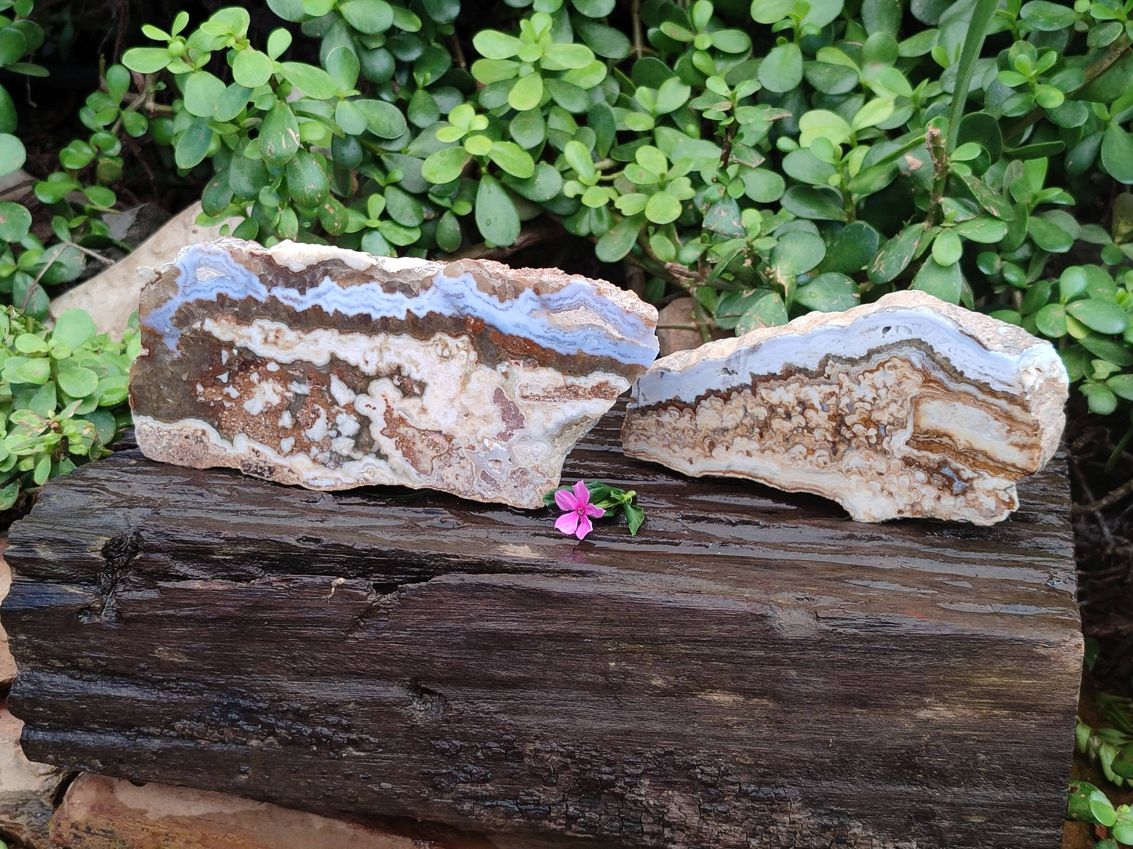 Polished On One Side 'Crazy' Blue Lace Agate x 2 From Namibia - Toprock Gemstones and Minerals 