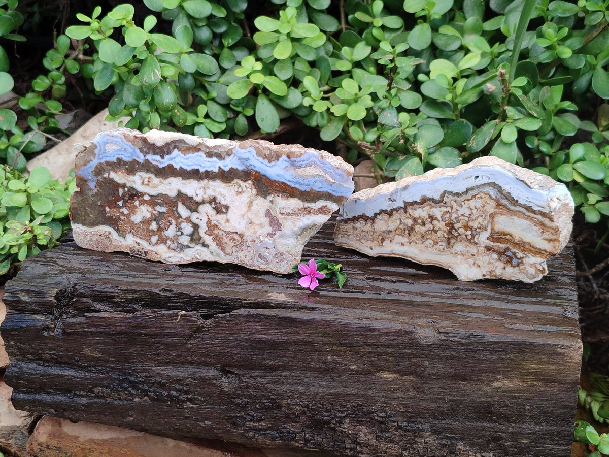 Polished On One Side 'Crazy' Blue Lace Agate x 2 From Namibia - Toprock Gemstones and Minerals 