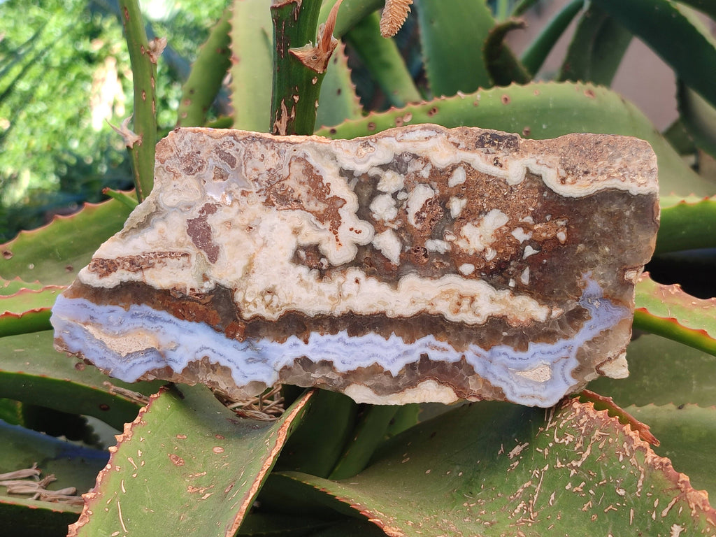 Polished On One Side 'Crazy' Blue Lace Agate x 2 From Namibia - Toprock Gemstones and Minerals 
