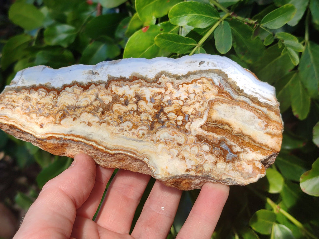 Polished On One Side 'Crazy' Blue Lace Agate x 2 From Namibia - Toprock Gemstones and Minerals 