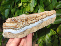 Polished On One Side 'Crazy' Blue Lace Agate x 2 From Namibia - Toprock Gemstones and Minerals 