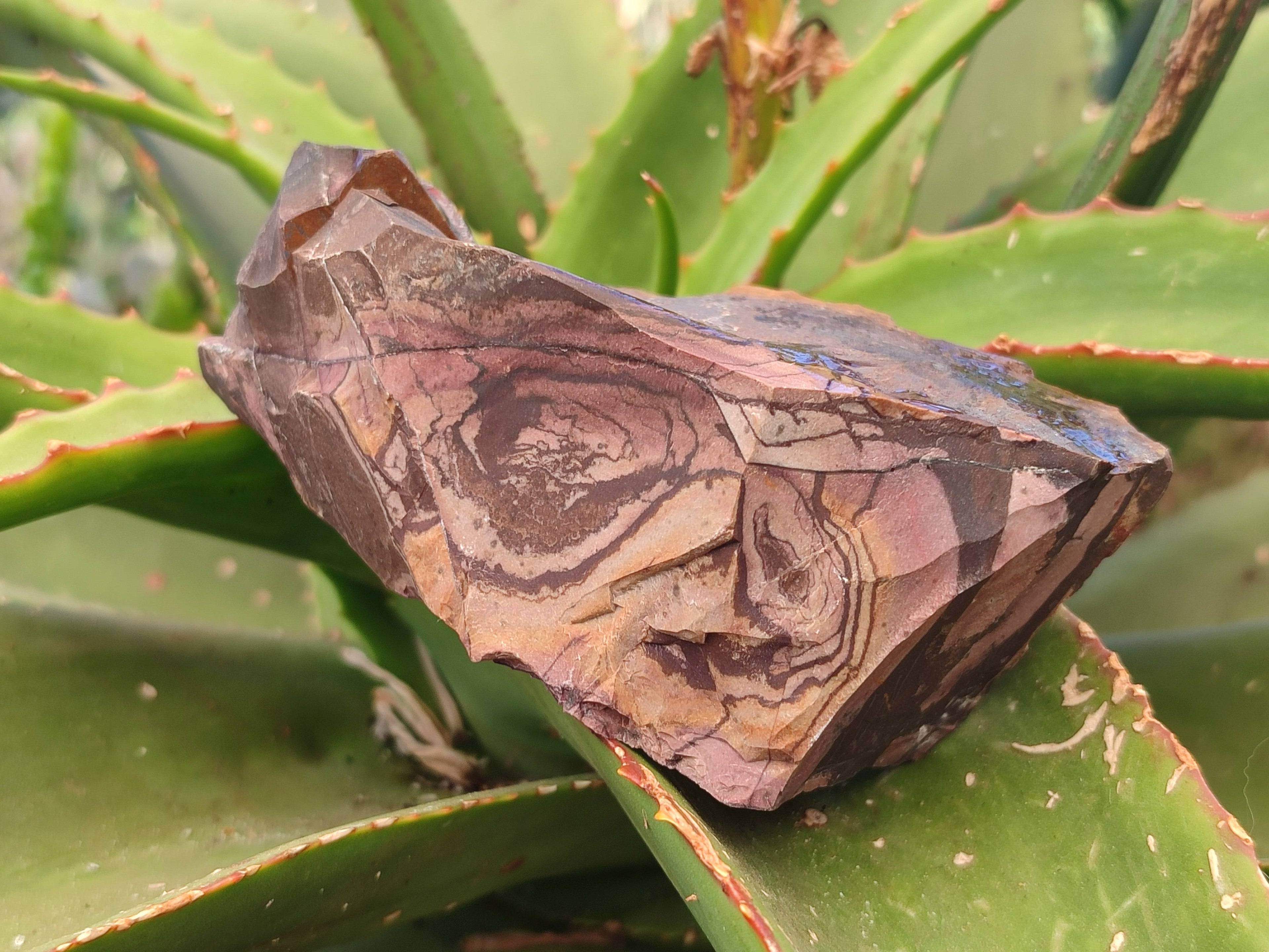 Natural Selected Nguni Jasper Cobbed Specimens x 12 From Prieska, South Africa - Toprock Gemstones and Minerals 