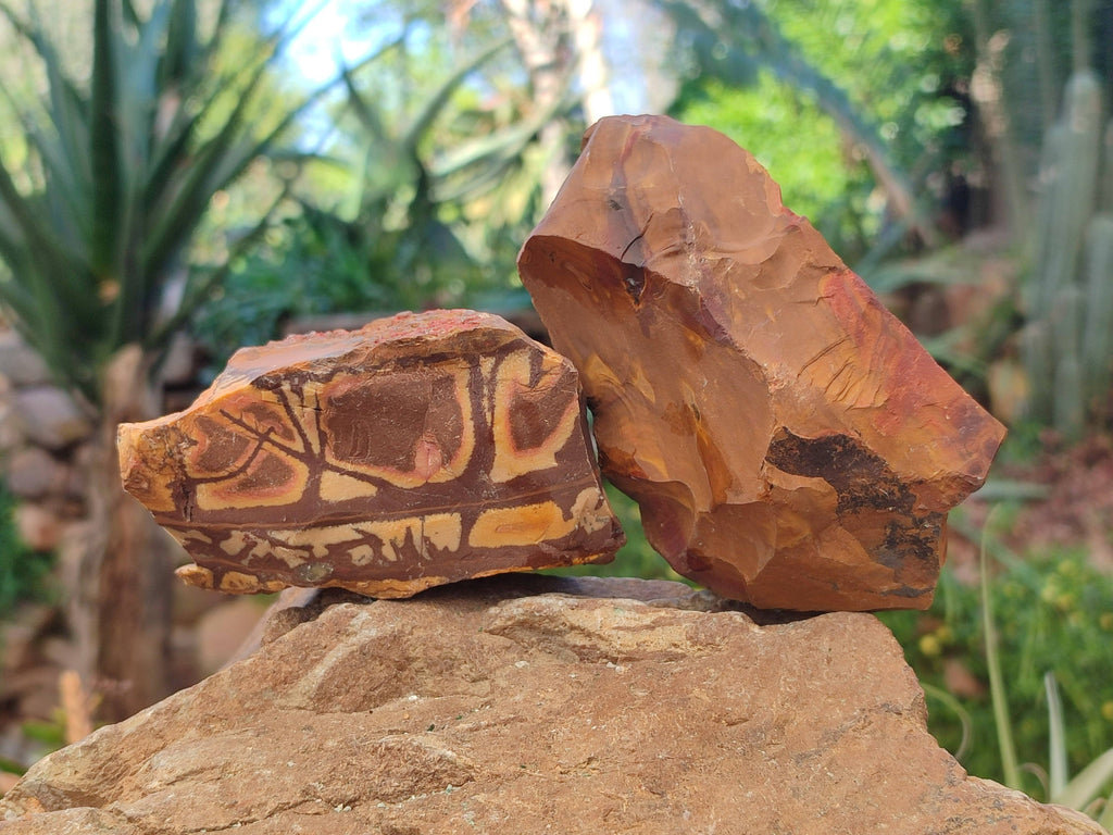 Natural Selected Nguni Jasper Cobbed Specimens x 12 From Prieska, South Africa - Toprock Gemstones and Minerals 