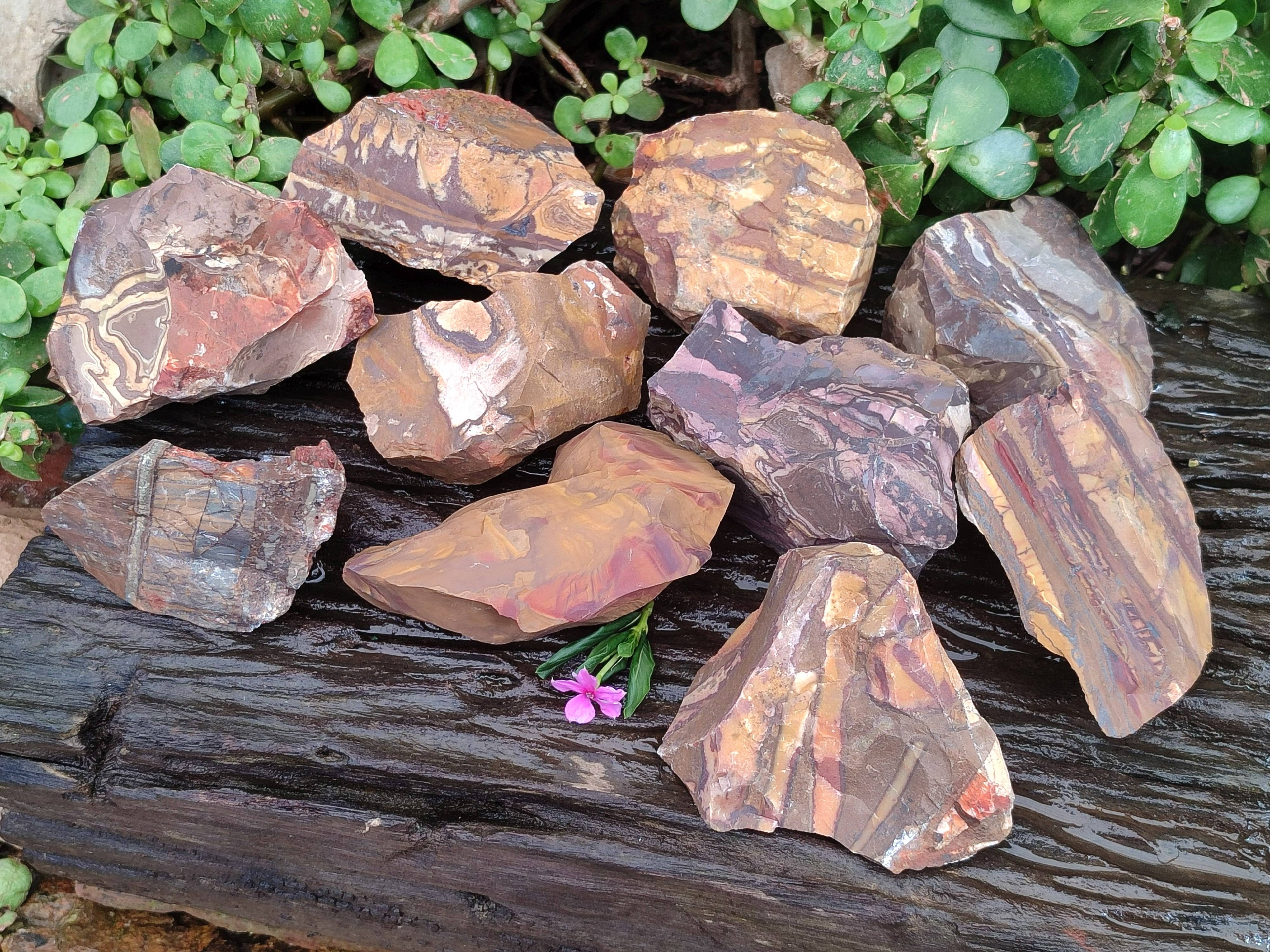 Natural Selected Nguni Jasper Cobbed Specimens x 12 From Prieska, South Africa - Toprock Gemstones and Minerals 