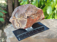 Natural Selected Nguni Jasper Cobbed Specimens x 12 From Prieska, South Africa
