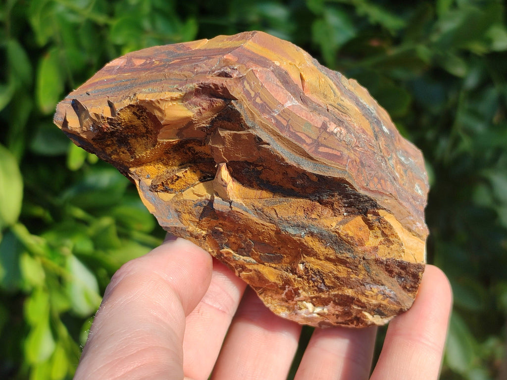 Natural Selected Nguni Jasper Cobbed Specimens x 12 From Prieska, South Africa - Toprock Gemstones and Minerals 