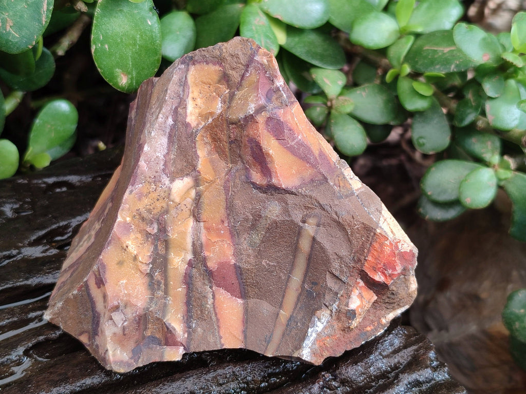 Natural Selected Nguni Jasper Cobbed Specimens x 12 From Prieska, South Africa - Toprock Gemstones and Minerals 