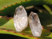 Natural Smokey Quartz Crystals x 35 From Brandberg, Namibia - Toprock Gemstones and Minerals 