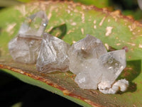 Natural Smokey Quartz Crystals x 35 From Brandberg, Namibia - Toprock Gemstones and Minerals 